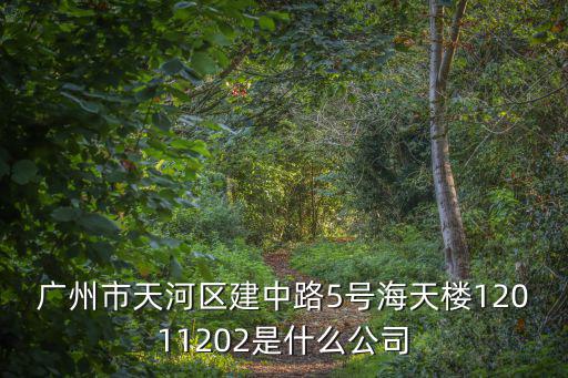 廣州市天河區建中路5號海天樓12011202是什么公司