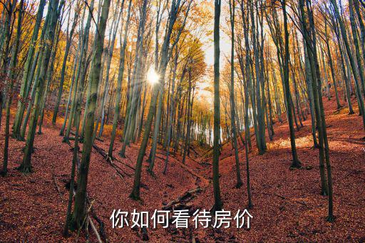 上班族如何看待房價降價，怎樣看待目前房價的問題