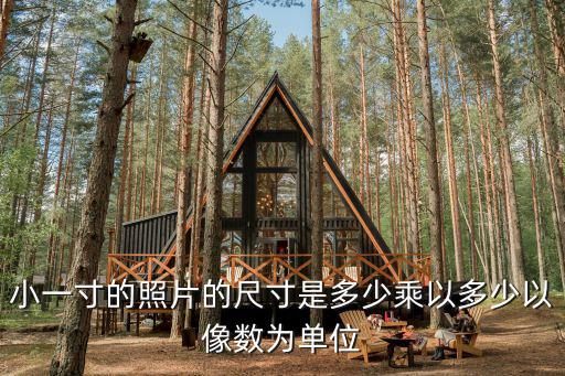 廣州入戶小一寸照片，廣州白云區照小一寸彩色照片價錢是多少多少張