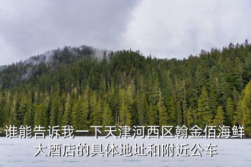 誰能告訴我一下天津河西區(qū)翰金佰海鮮大酒店的具體地址和附近公車