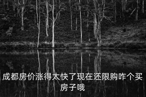 成都房價漲得太快了現在還限購咋個買房子哦