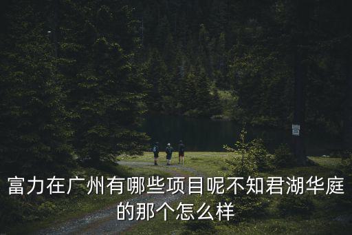 廣州富力樓盤列表，廣州富力目前排名多少
