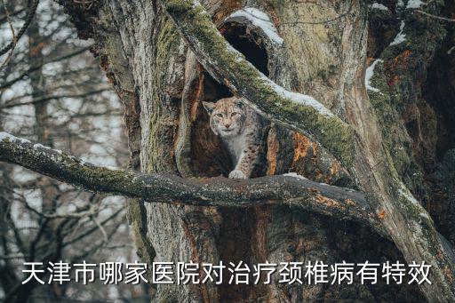 天津市哪個醫院治療頸椎最好治，在天津有哪些醫院看頸椎比較好謝了