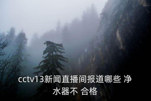 cctv13新聞直播間報道哪些 凈水器不 合格