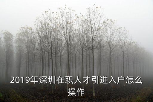 2019年深圳在職人才引進入戶怎么操作