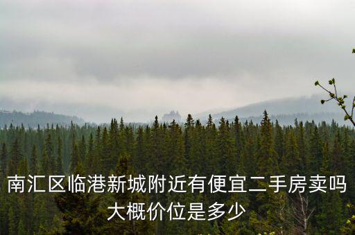南匯區臨港新城附近有便宜二手房賣嗎大概價位是多少