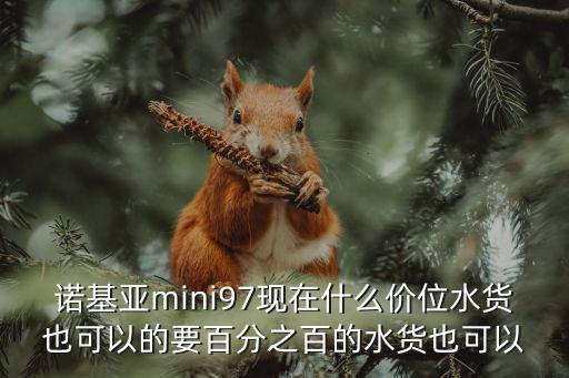 諾基亞mini97現(xiàn)在什么價(jià)位水貨也可以的要百分之百的水貨也可以