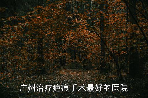 廣州治療疤痕手術最好的醫院