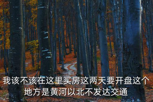 我該不該在這里買房這兩天要開盤這個地方是黃河以北不發達交通