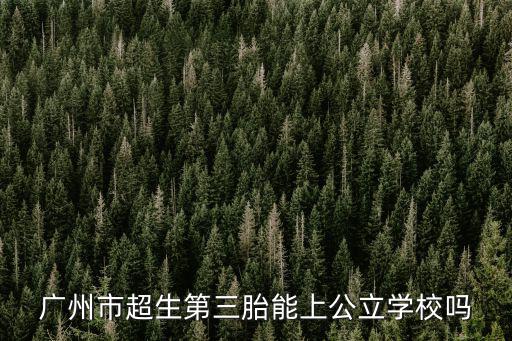 廣州市超生第三胎能上公立學校嗎