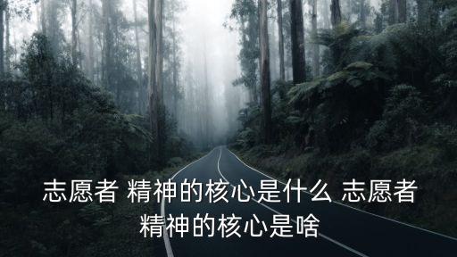  志愿者 精神的核心是什么 志愿者 精神的核心是啥