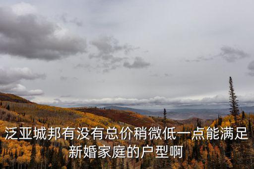 泛亞城邦有沒有總價稍微低一點能滿足新婚家庭的戶型啊