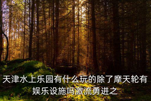 天津水上樂園有什么玩的除了摩天輪有娛樂設施嗎激流勇進之