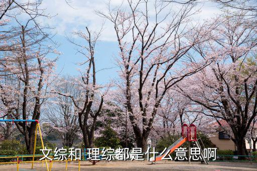 文綜和 理綜都是什么意思啊