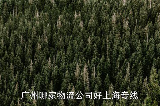 廣州哪家物流公司好上海專線