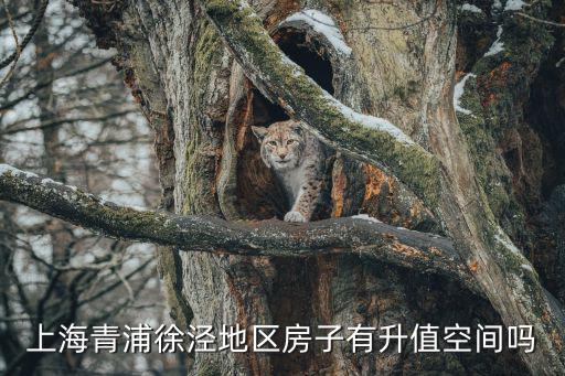 上海青浦徐涇地區(qū)房子有升值空間嗎