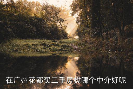 在廣州花都買二手房找哪個中介好呢