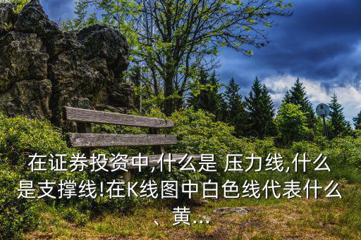 在證券投資中,什么是 壓力線,什么是支撐線!在K線圖中白色線代表什么、黃...