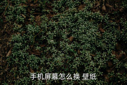 怎么換鎖屏壁紙,如何更換鎖屏壁紙?方法如下