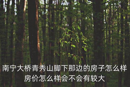 南寧大橋青秀山腳下那邊的房子怎么樣房價怎么樣會不會有較大