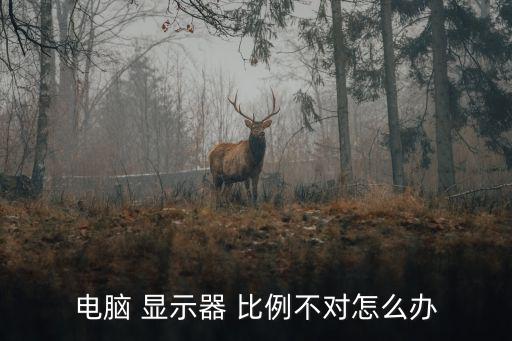 電腦 顯示器 比例不對怎么辦