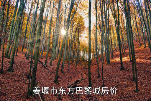 目前姜堰區(qū)的房價如何啊，姜堰市東方巴黎城房價