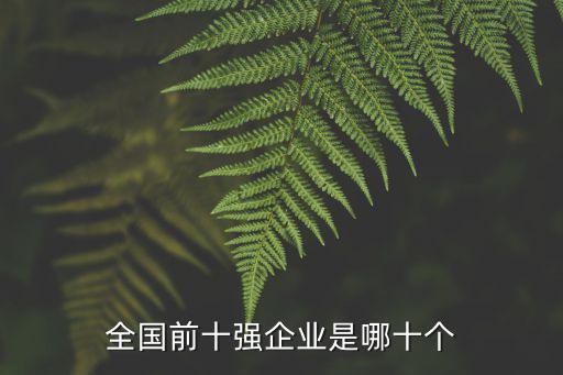 全國前十強企業是哪十個