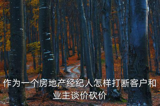 作為一個房地產經紀人怎樣打斷客戶和業主談價砍價