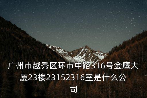 廣州市越秀區環市中路316號金鷹大廈23樓23152316室是什么公司