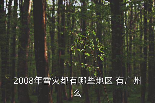 2008年雪災(zāi)都有哪些地區(qū) 有廣州么