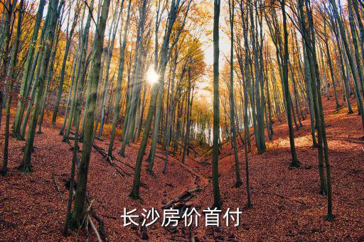 長沙首付31萬的房價如何，長沙房價怎么樣一般怎么算