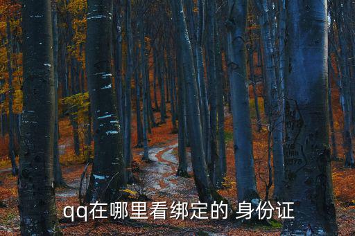  qq在哪里看綁定的 身份證