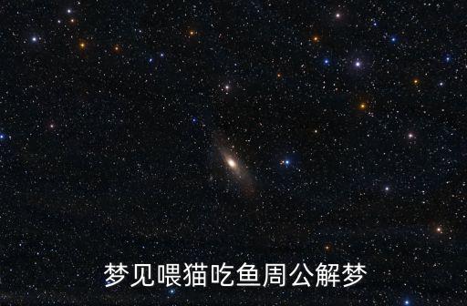 夢見喂貓,中老年人夢見喂貓喂魚預示好運但不能操之過急