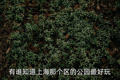 有誰知道上海那個區的公園最好玩