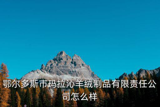 趙學明,鄂爾多斯市絨制品公司成立于2000年6月2日
