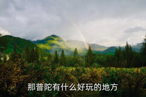 那普陀有什么好玩的地方