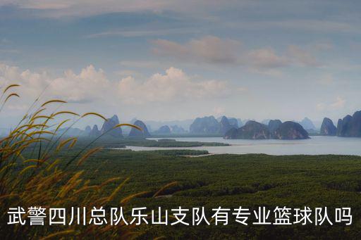武警四川總隊(duì)樂(lè)山支隊(duì)有專業(yè)籃球隊(duì)嗎
