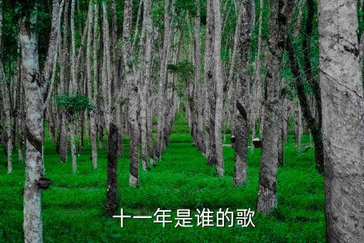 十一年邱永傳,中國女歌手邱永傳唱十一年成名
