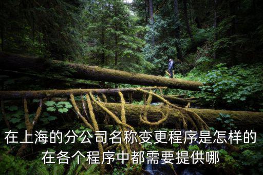 在上海的分公司名稱變更程序是怎樣的在各個程序中都需要提供哪