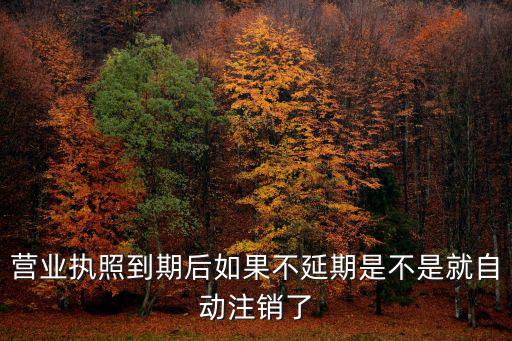 營業執照會自動注銷嗎，打字復印店營業執照沒有年檢會自動注銷嗎自動注銷有沒有什么影響