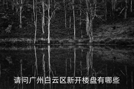 請問廣州白云區新開樓盤有哪些