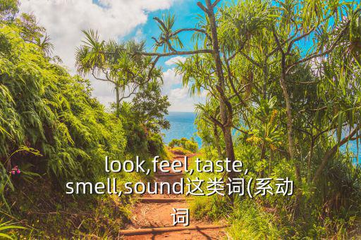 look,feel,taste, smell,sound這類詞(系動詞