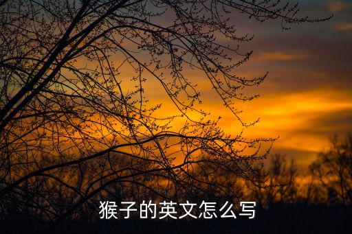 猴子的英語怎么說,這些病毒是怎么回事?
