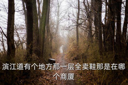 天津市濱江道鞋墻，濱江道有個地方那一層全賣鞋那是在哪個商廈