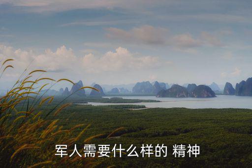 軍人的精神,為人民服務是軍人最大的體現