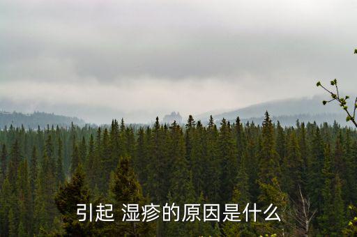 濕疹是什么引起的,濕疹可能是因為食物過敏引起的!