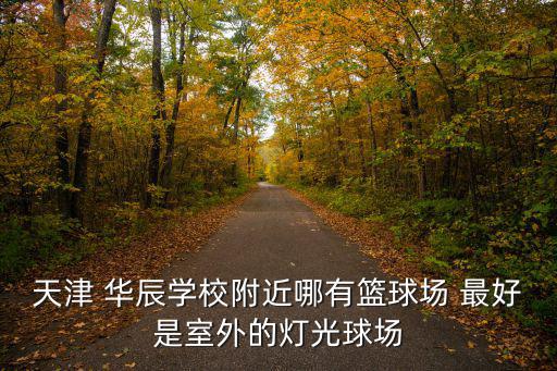 天津 華辰學校附近哪有籃球場 最好是室外的燈光球場