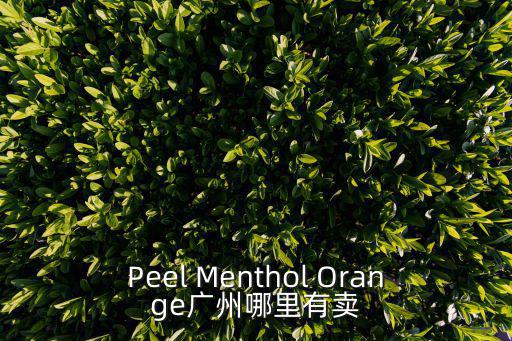 Peel Menthol Orange廣州哪里有賣