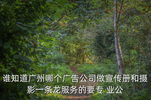 誰知道廣州哪個廣告公司做宣傳冊和攝影一條龍服務的要專 業公