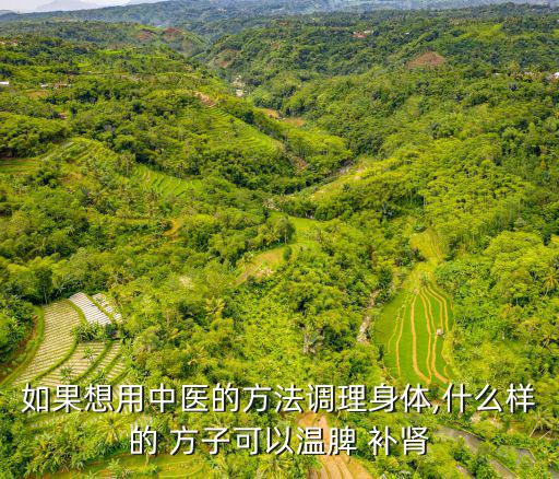 如果想用中醫(yī)的方法調(diào)理身體,什么樣的 方子可以溫脾 補(bǔ)腎